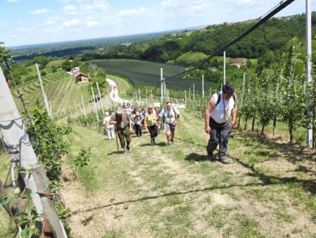 Pomlad v prleških goricah 2017 123